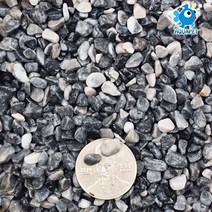 아쿠아펫 다크 그레이 (3~5mm) 어항 조경 화분 테라리움 용 바닥재 (1.3kg/3kg), 1.3kg