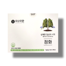 유비무환 정화 기관지 목 건강 폐에 좋은 음식 배 도라지 인삼 환, 75g, 2개
