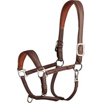 여성승마바지 승마부츠가방 승마용품 안장 장비 승마장갑 Decathlon 말 굴레 말 수도꼭지 말 굴레 견인 로프 훈련 로프 말 말 조랑말 승마 용품 ivg3, 표준 및 높은 말을 위한 갈색 fs