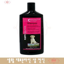 모낭충 자극없는 윤기가득 보습퍼피샴푸 푸들
