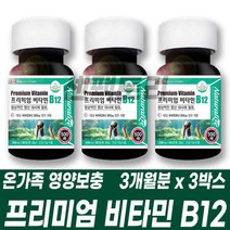 비타민B12 단일성분 제품 식약처인정 캐나다 건강기능식품 건기식 비타민B군 비군