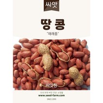 땅콩씨앗(30g) 재래종