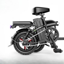 초경량 소형 전동 전기 스쿠터 자전거 스마트 운행, 11.모터25A약100KM48V, 옵션