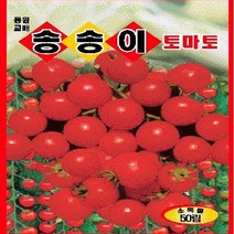 [가람종묘사] 송송이방울토마토 씨앗(당도가 높으며 과가 크고 열과성이 적은 품종)