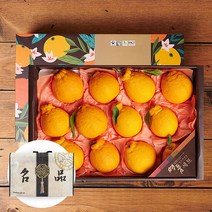 제주 한라봉 4.5kg 10-14과 선물세트, 단품