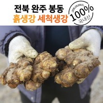 살림파파 봉동 개량종 흙생강 세척생강, 세척생강1kg