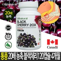 20배 농축 블랙체리 120캡슐 4개월/ 통풍영양제 / 캐나다 식약청 GMP NPN인증, 120정, 4개