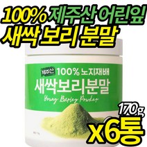 100% 노지재배 새싹보리 청정 제주 어린잎 세싹 보리분말 에어제트밀 분쇄 금속 이물 없는 국산 고농축새싹보리분말 가루 쥬스 물, 170g X 6통, 6개