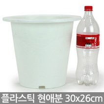 현애분 6~10호 - 검정 플라스틱 화분 베란다화분 꽃화분 대형화분 플라스틱화분 검정화분 블랙 화이트 흰색 파란화분, 09_한성_현애분 화이트(9호)