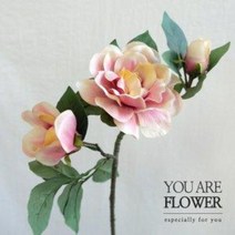 치자꽃 조화 핑크