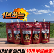 젤타입 친환경 착화제 300ml x 10개 갈탄 조개탄 고체연료 에탄짜 착화젤 미니화로 연료 불쏘시개, 300ml 10EA