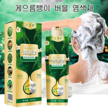 일본염색약 머리염색 강소예의 화이트 헤어 컬러링 폼 화학성분이 들어가지 않은 순수 식물성 염료, 300mL, 커피, 1개