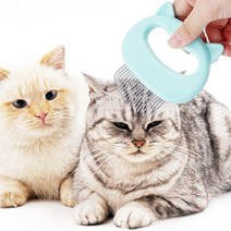 고양이 애견 조개브러쉬 귀빗 죽은털관리 마사지, 블루