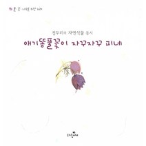애기똥풀꽃이 자꾸자꾸 피네 -정두리의 자연식물 동시-초등 6학년 국어 1학기 읽기 교과서 수록 도서, 파랑새어린이
