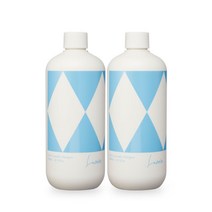 라브아 고농축 비건 초고농축 클래식 세탁세제, 500ml, 2개