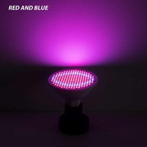식물성장램프 실내 wenni e27 led e14 led 빛 스펙트럼 전구 gu10 48 60 80 126 200leds 온실 mr16 phyto b22, 2년 보증, e14 48leds 220v, 빨간색과 파란색