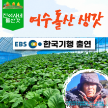 [진여사네돌산갓] 여수 돌산갓 생갓 대량주문가능 10kg