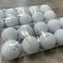 타이틀리스트 PRO V1 화이트 리피니쉬 골프공, 화이트 A 20알