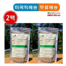 vijay herbal 시서스추출 최고급농축분말 100 그램[ X 2팩] cissus~ extract powder100 gram 2packs, 1세트, 100 그램 2팩