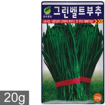 그린벨트 부추씨앗 20g, 그린벨트부추