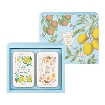 [쌍계명차 본사공식] 티허그 티캔 2입 세트, 지리산 돌배차, 지리산 돌배차