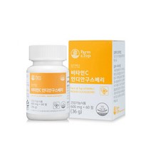 항산화 비타민C 110MG 인디안구스베리 비타민C 영양제 식물성 무부형제 어린이 청소년 성인 비타민C 비타민씨 비타민시 VITAMINC X 60정 1병