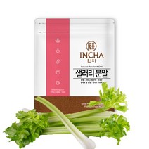 샐러리 분말 가루 200g