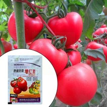 정원 원예 복합 비료 토마토 배꼽 부패 방지 균열 붉어짐 토마토 엽면 팽창 정신 보충, 한개옵션0