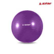 스타 스트레칭 짐볼 65cm 보라, 상세페이지 참조