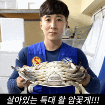 특대 꽃게 kg당 (3-4마리) 암꽃게(2-5kg) 가을 숫꽃게(3-5kg), 가을철/봄철 숫꽃게3kg