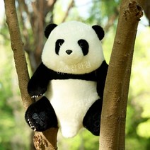 귀여운 판다 인형 팬더곰 봉제인형 푸바오 러바오, 5개월 된 팬더