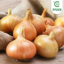 온도씨 가락시장 햇 양파 1kg