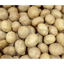 포슬포슬 맛있는 햇감자 수미감자 사이즈별, 왕특, 3kg