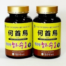 지리산 하수오환 2병 자연산 적하수오, 160g