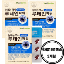 뉴트리가든 루테인 파워 500mg*30c, 30정, 3개