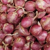 태국식품 태국양파 생 샬롯 태국험뎅 미니양파 동남아 험뎅 1k worldfood