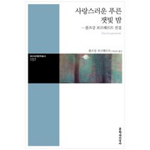 [문학과지성사] 사랑스러운 푸른 잿빛 밤 볼프강 보르헤르트 전집, 없음