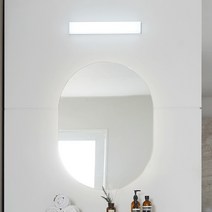 공간조명 듀엘 LED 욕실등 20W / 25W, 20W 2700K+6500K 투톤
