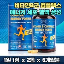 고농축 비타민B 컴플렉스 에너지 스트레스 피로회복 남성 여성 만성 피로 세포 혈액 영양제