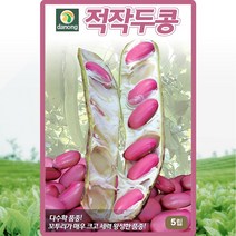적작두콩 씨앗 콩 씨 종자 5립, 1개