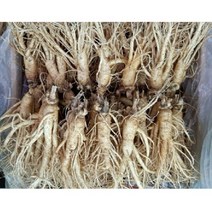 실속형 가정용인삼 5년근 350g 1kg 2kg 무료세척 난발삼 믹서용 홍삼용 꿀절임용, 가정용인삼 350g, 세척원해요(0)