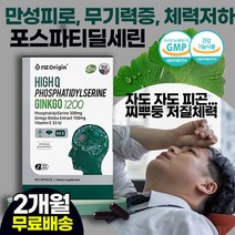 회사원 수험생 50대여성 만성피로 성인 뇌영양제 추천 / 두뇌 건강 건망증 암기력 기억력 감퇴 뇌세포 혈액순환 손 발 다리 저림 통증 개선 / 은행잎 추출물 노화방지 치매예방, 2상자(2개월)
