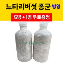 [ 5병 + 1병 무료증정 ] 모두다팜 버섯종균 느타리종균 병형 버섯키우기 느타리 버섯 종균 6병, 느타리버섯종균 [ 5병 + 1병 사은품 ]