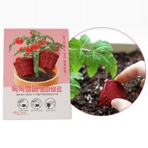 [슬기로운아이템] 농약 화분에 꼽아쓰는 비료 2입 방울토마토 오이 고추용, SSS[상품_상품선택]SSS