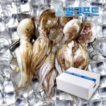 냉동쭈꾸미 2.4kg 벌크 손질 쭈꾸미 업소용 볶음용, 옵션2. 쭈꾸미 8미 2.4kg 1박스