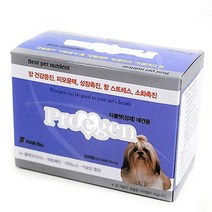 노령견 유산균 장건강 애견 영양제 진돗개 장기능 장운동 배변 영양보충 똥냄새 시바견 푸들
