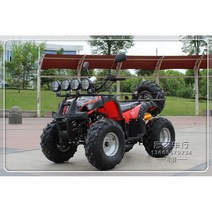 사륜 4륜 오토바이 125cc 버기카 소형, 패키지 2