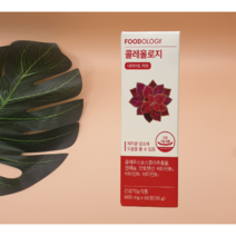 푸드올로지 콜레올로지컷 다이어트 보조제, 60정x1gx2개, 2개