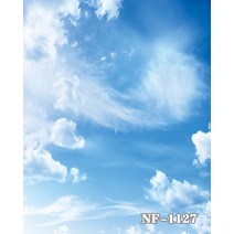 촬영배경지 배경지 하늘구름 사진촬영 배경천 촬영 택배 광고 스튜디오 하늘 PP종이, 형광노랑NF-1127