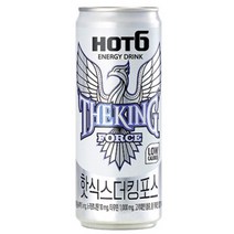 핫식스 더킹 포스 355mlx24캔, 24캔, 355ml